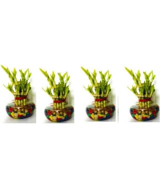 Green plant indoor - Green Wild Artificial Flowers With Pot ( Pack of 4 )