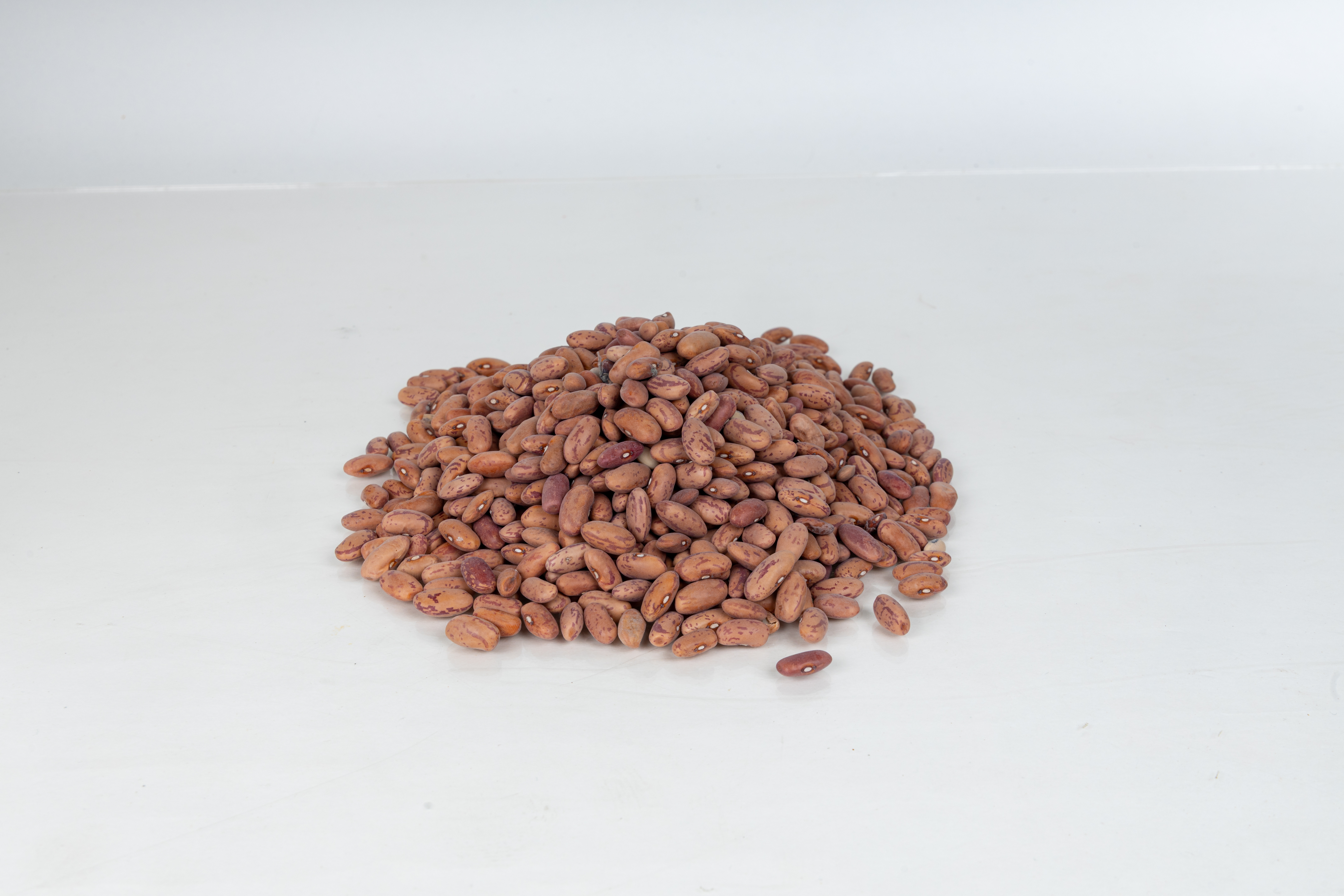 Premium Rajma (Kidney Beans) | Whole Red Kidney Beans | Traditional Indian Pulse view 3