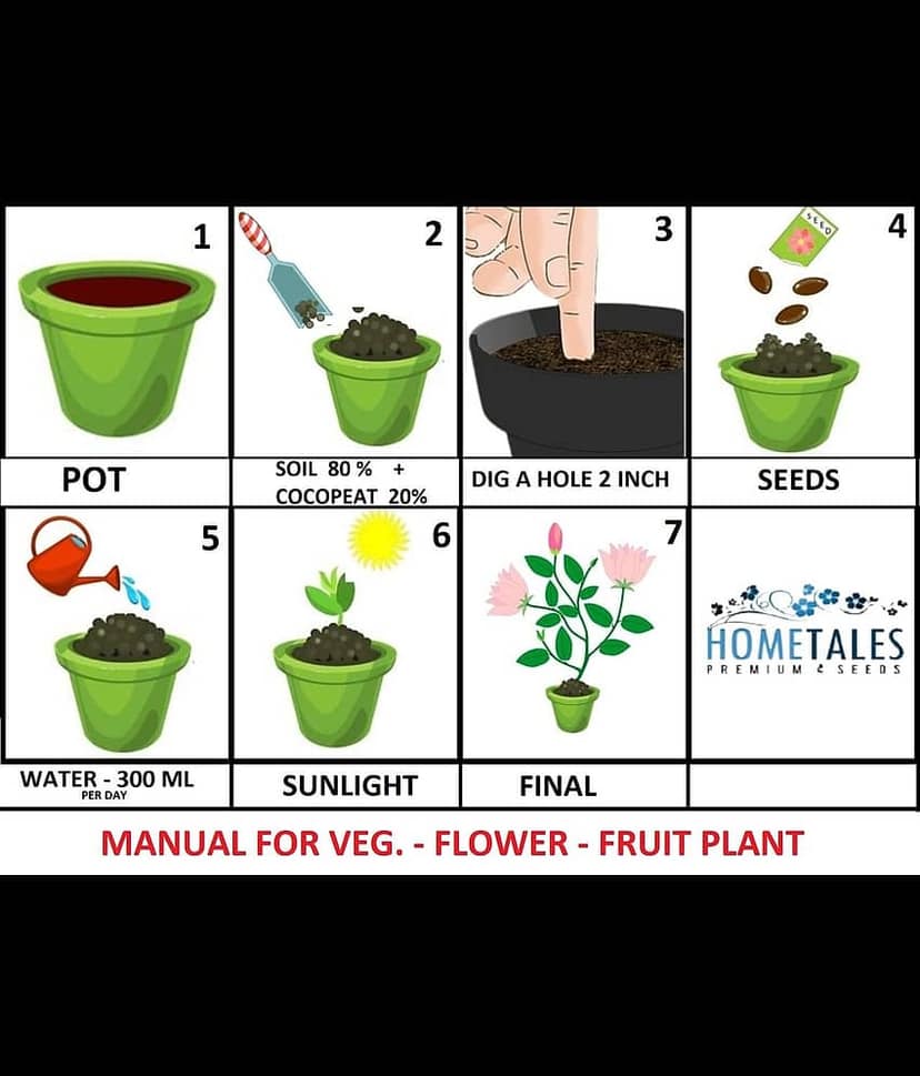 homeagro- Mixed Vegetable Seeds (Pack of 500) view 2
