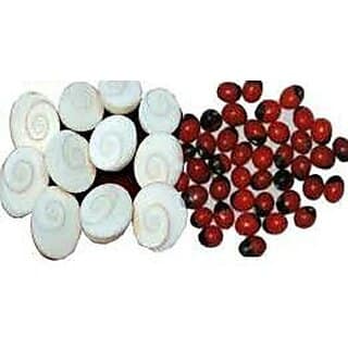 Energized Gomati Chakra 11 PCs Free 11 PCs Rakt Gunja Good For Wealth Ben -H