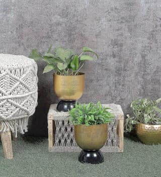 Black & Gold Double Layer Hammered Apple Planter Set of 2