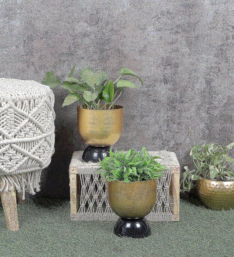 Black & Gold Double Layer Hammered Apple Planter Set of 2