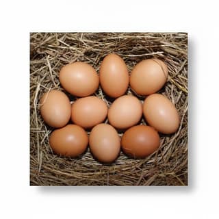 Farm Fresh Brown Eggs - 50 gm - Single fresh egg