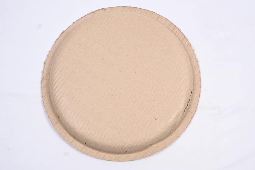 SONCHIRAIYA Leaf Biodegradable Disposable Combo of Round Plates (Pack of 50) view 2