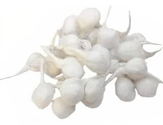 Cotton Wicks for Pooja (Puja Batti) – Traditional Cotton Diya Wicks for Daily Worship