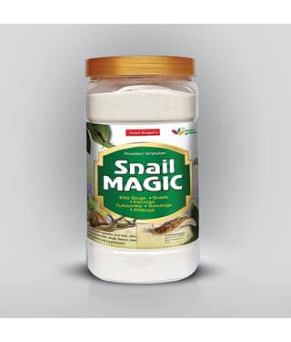 Green Dragon SNAIL MAGIC All Insect Paste Slug & Snail Killer Powder