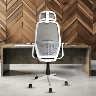 OOLIVE GLAMOUR OC99 Premium Ergonomic High Back Office Chair, Tailored for Superior Comfort