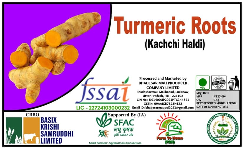 Turmeric Roots | Kachchi Haldi - 1Kg view 3