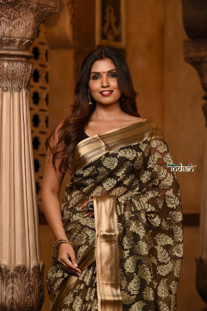 Parampara ~ Premium ~ Cotton Blend Handloom Banarasi saree ~ Black view 5