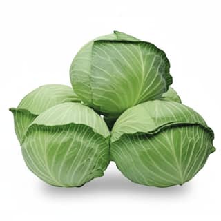 Fresh Green Cabbage - 1 kg - 1 unit