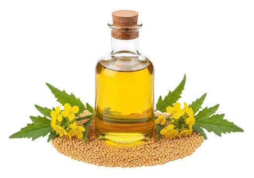 Mustard Oil view 3