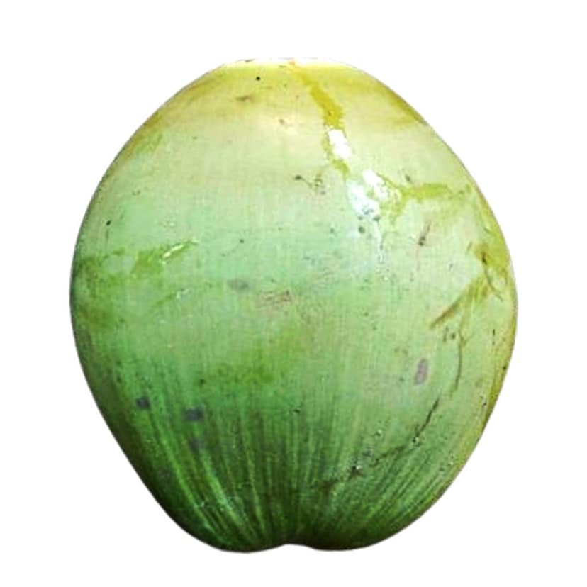 Super Saver ( Get pack of 5 Coconuts ) view 4