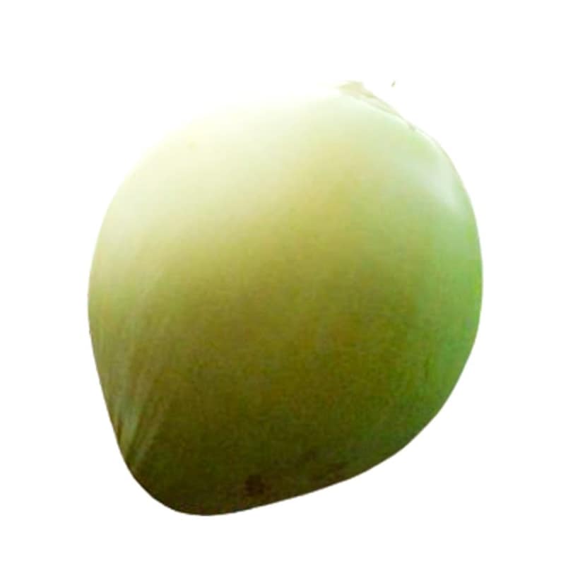 Super Saver ( Get pack of 5 Coconuts ) view 5