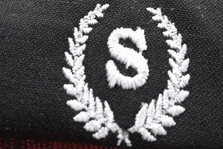 S logo