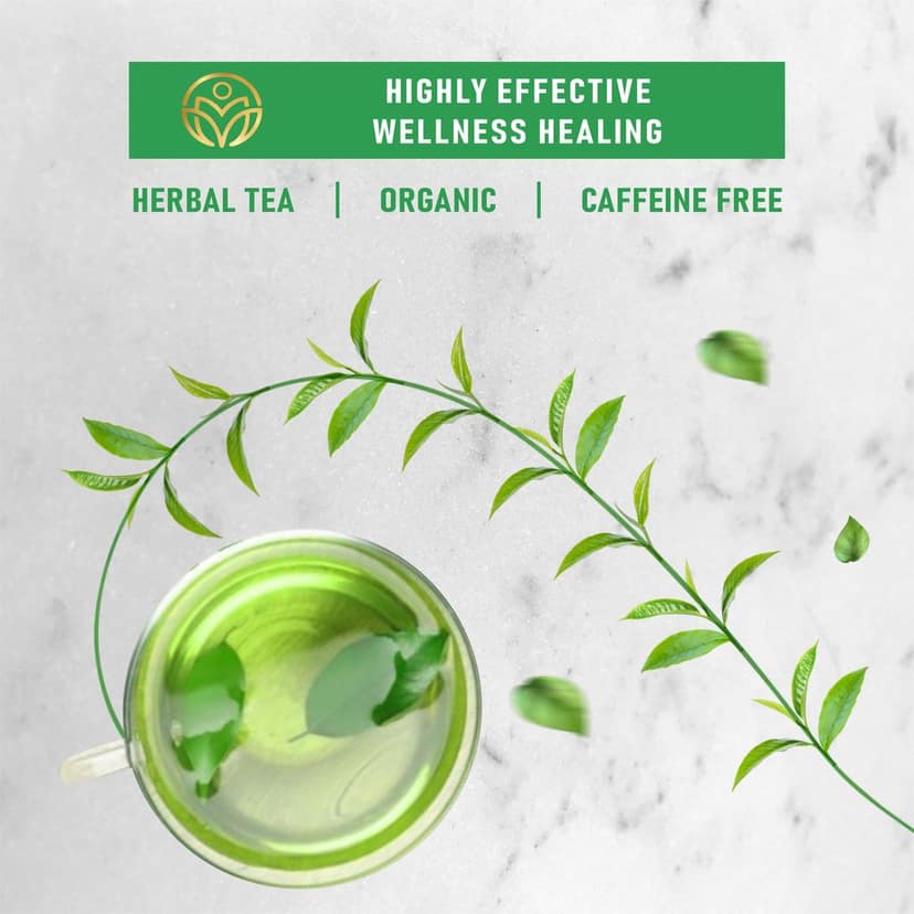 True Nirvana Green Tea – Pure Organic Loose Leaf Herbal Tea – Rich in Antioxidants for Detox & Wellness view 4