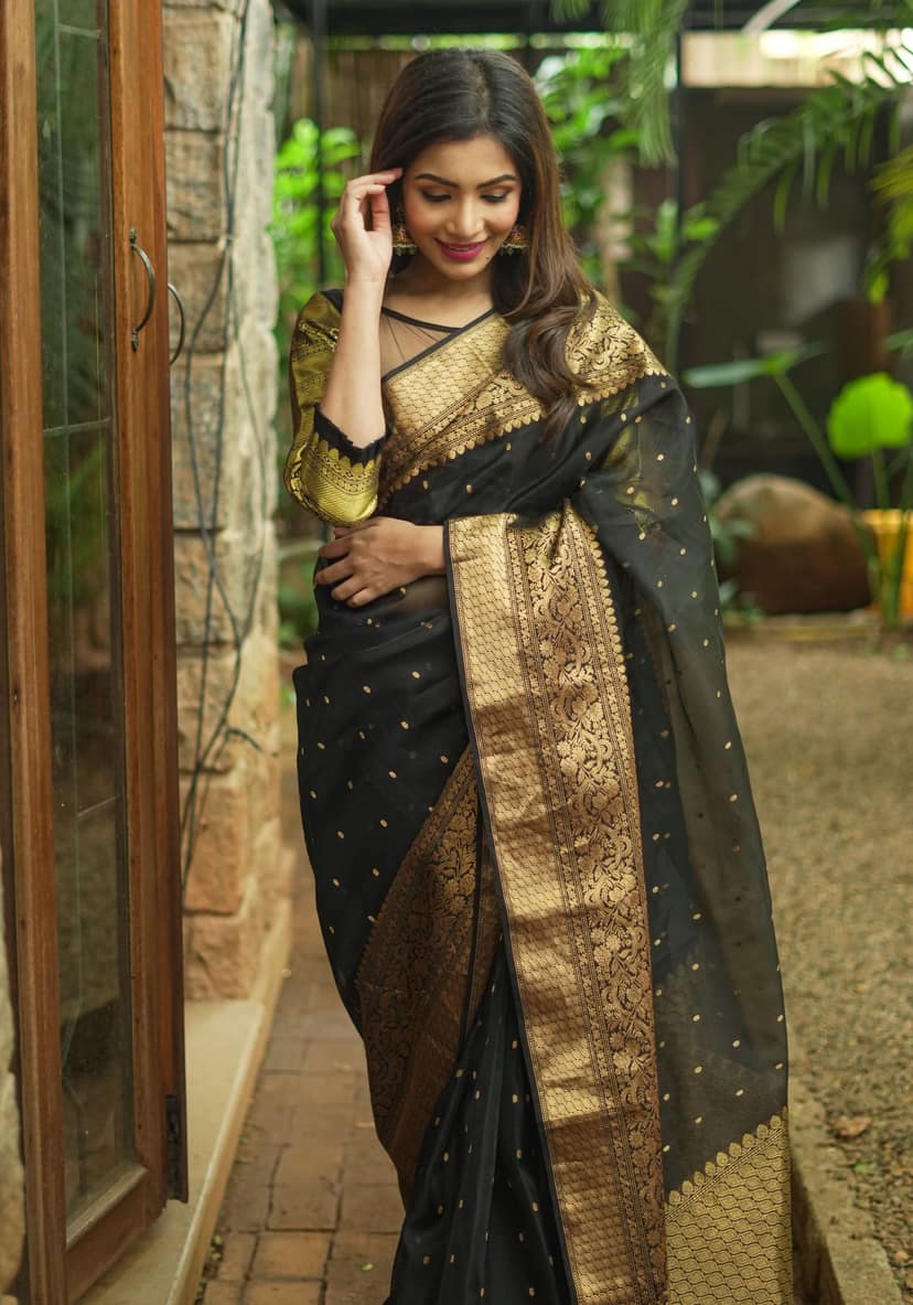 Celebrity Chanderi Silk Saree in Black with Zari chunri Butis and wide zari border view 10