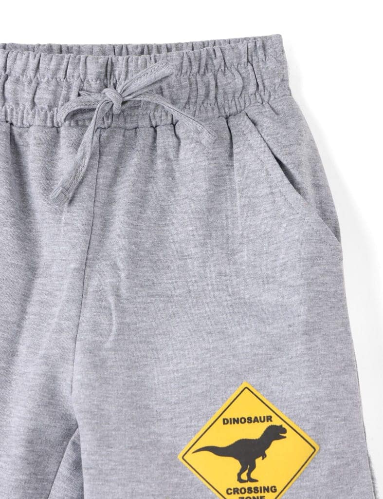 Boys Shorts Cotton French Terry Grey Heather Melange Dino Crossing Zone view 3