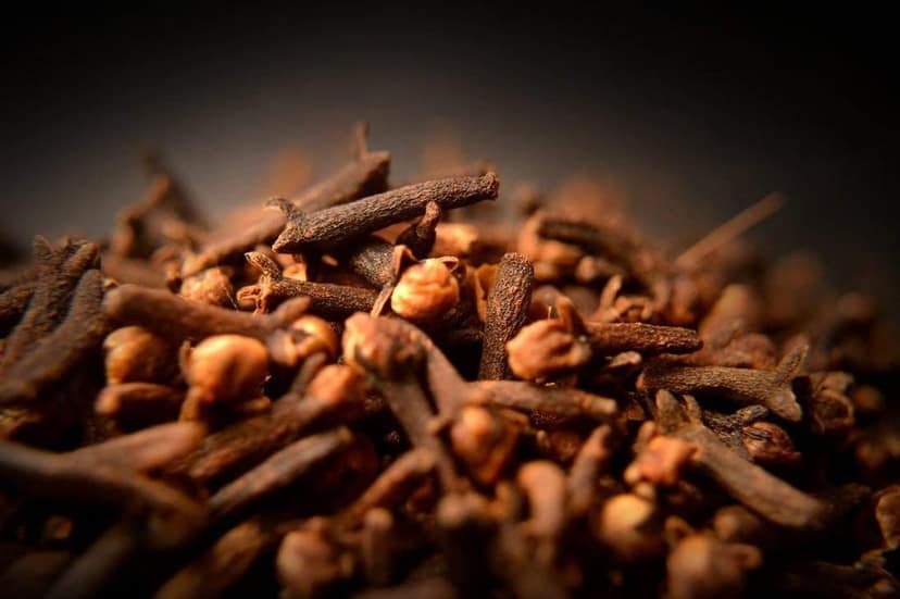 ELWORLD AGRO & ORGANIC FOOD PRODUCTS Clove, 50 Gm view 5