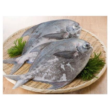 Kapri Pomfret 1 Kg