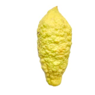 LEMON(LOGAL) - 200 gm - यह नींबू शरीर में पथरी होती है जिसके लिए काम में लिया जाता है एक नींबू की 4 भाग करने हैं बराबर बराबर रोज सुबह उठकर इसको एक भाग को खाना हैं 2 घंटे तक चाय पानी कुछ भी नहीं लेना होता है 4 दिन तक इसका सेवन करे