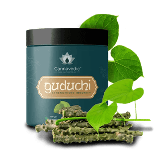 Guduchi Capsules – Immunity booster(60 capsules)