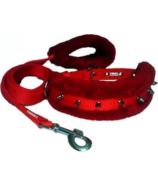 Petshop7 Nylon Fur Padded Spike Dog Collar and Dog Leash - Medium (Adjustable Neck Size : 14-17inch)