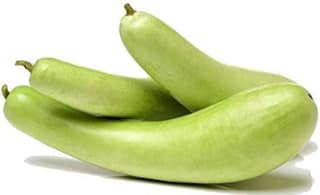 Bottle Gourd-Doodhi| 500 Gms-600 Kg