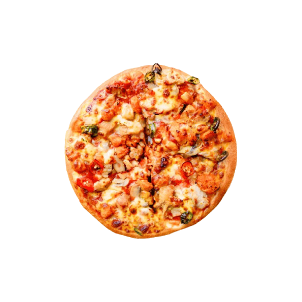 Non Veg Spanish Sizzles Pizza Regular
