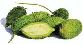 Spine Gourd 1 Kg