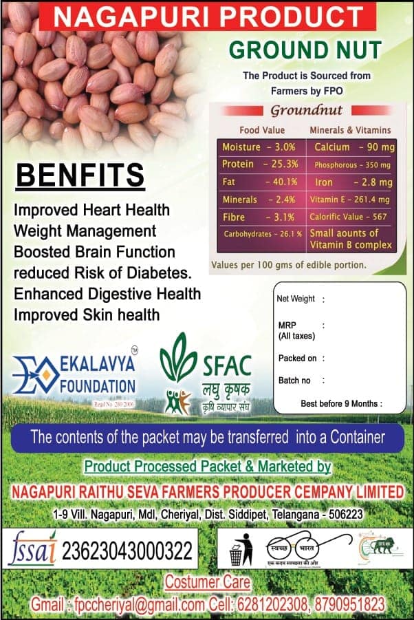 GROUNDNUT (PEANUT) view 5
