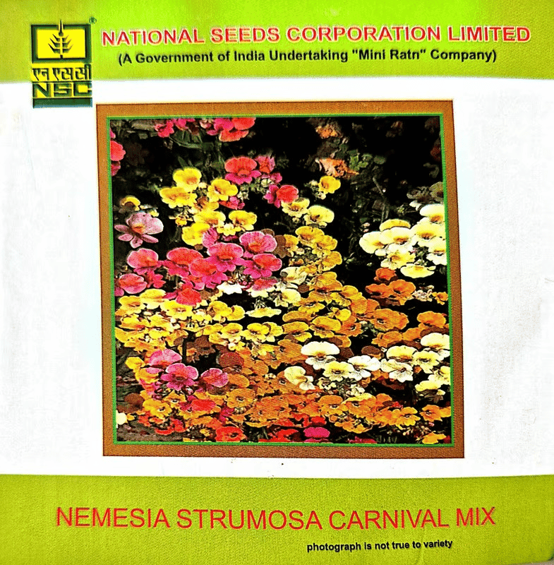 NSC Nemesia Strumosa Carnival mix-3 gms