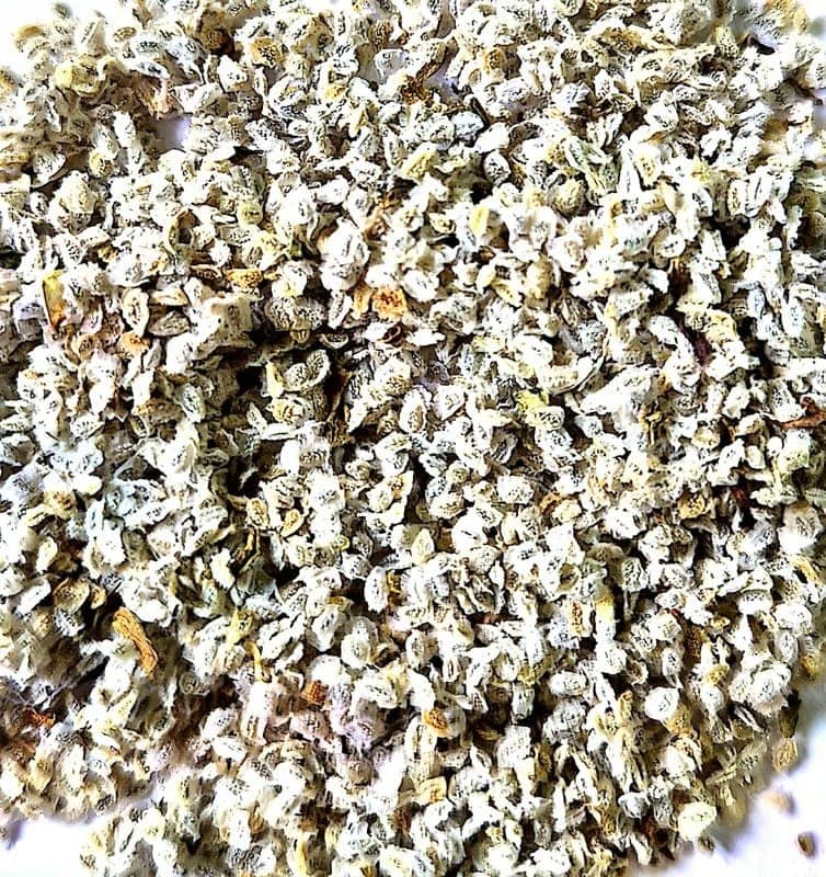 NSC Nemesia Strumosa Carnival mix-3 gms view 3