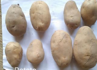 Potato - 1 kg - 1 Pack