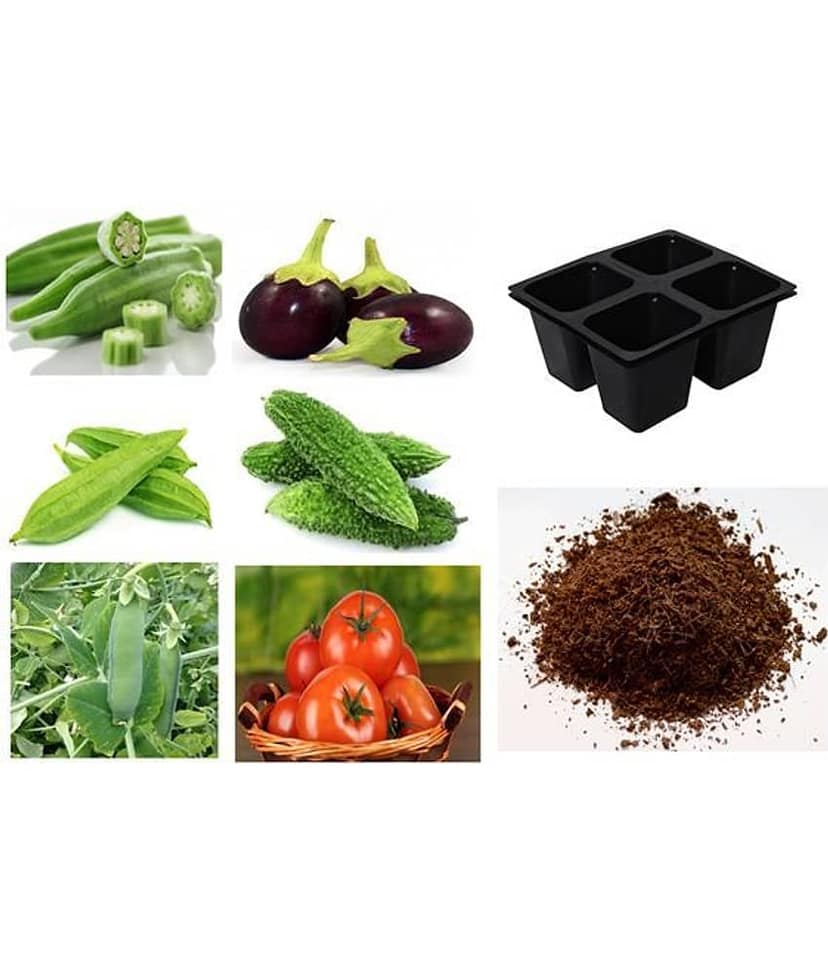 60 Hybrid High Germination Seeds Combo Of 6 Varieties Of Vegetable + Cocopeat + 4 Hole Seedling Tray + Instruction Manual