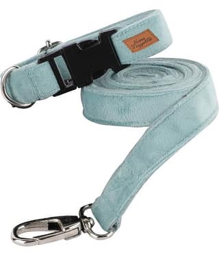 NUEVOS DOGGADIL - Black Collar ( X-Small )