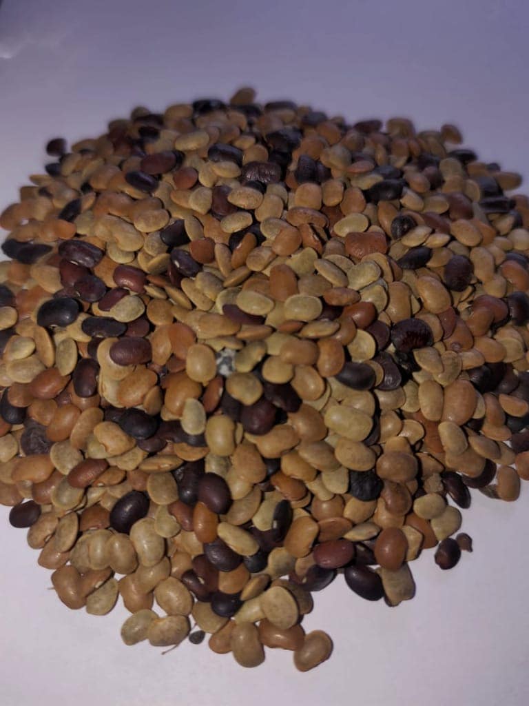 100% Pure Natural Kulath Dal (Horse Gram), 1 Kg view 3