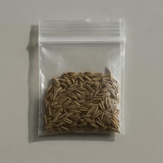 Sanmatiya Convenience Store's premium cumin seeds