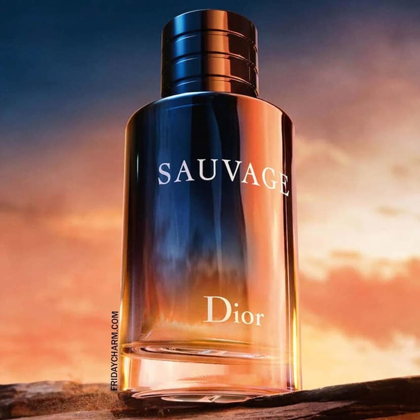 Christian Dior Sauvage EDP Spray 100ml – Luxury Fragrance for Men