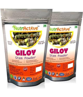 NutrActive- Powder NA Ayurvedic (Pack of 2)