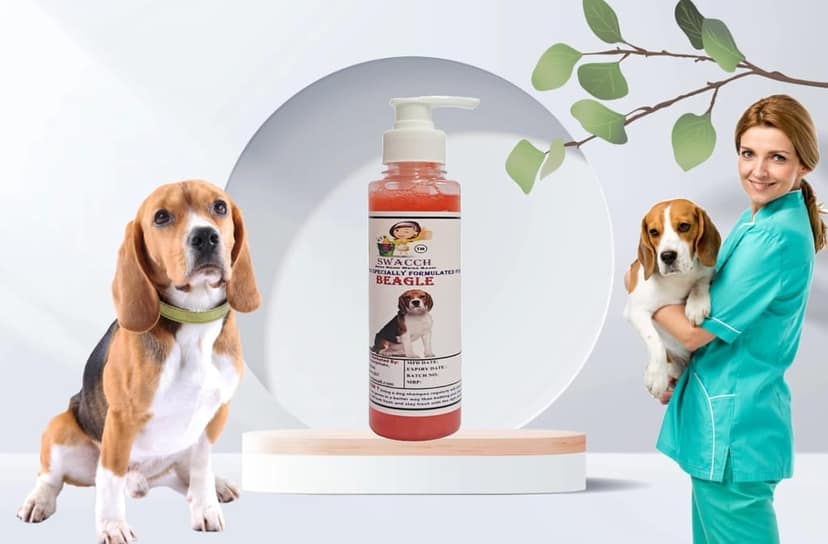 SWACCH Premium Shampoo for Beagle (200ML) Jasmine