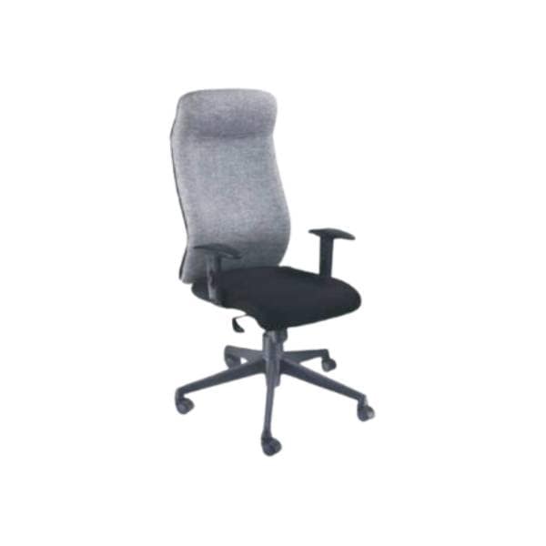 Evergreen - Seat & Back In Fabric, With Adjustable Handle, Base & Castor In Nylon (CS-F01-HB)