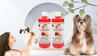 Swacch Shampoo Specially Formulated for Lhasa APSO (500ML) (Combo Pack of 2) Jasmine