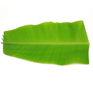 Banana Leaf 5 Pcs