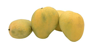 Mango - Rajpuri 500 Gms
