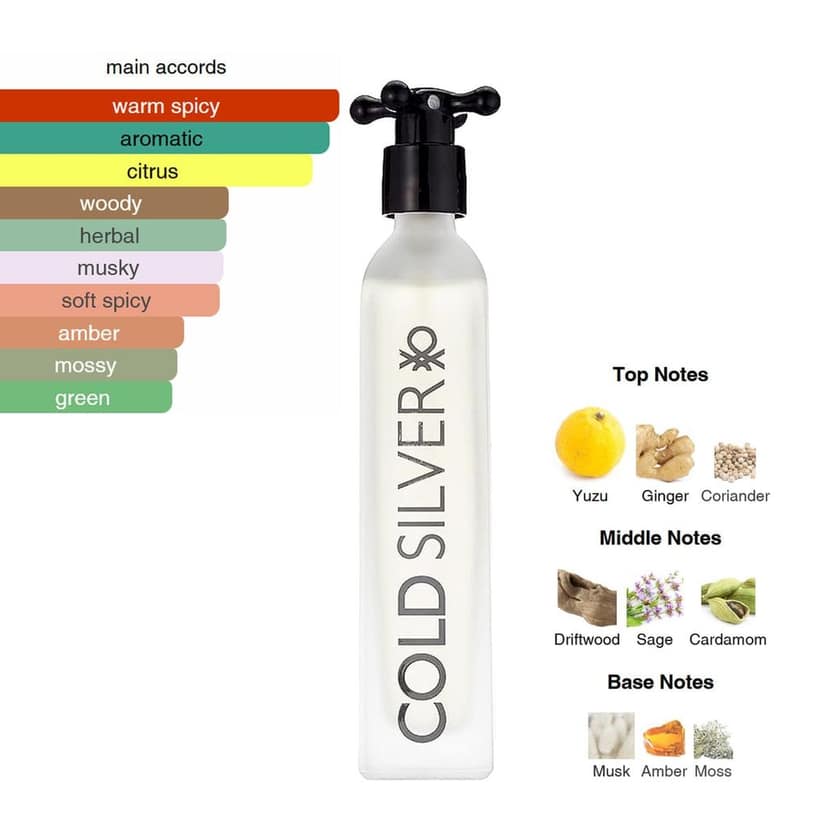 United Colors Of Benetton Cold Silver Eau de Toilette For Men 100ml – Fresh, Woody & Long-Lasting Masculine Fragrance view 4