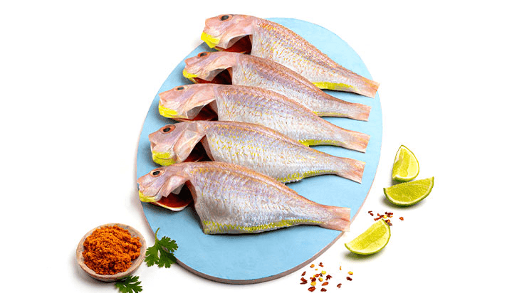 Pink Perch Medium Whole Cleaned