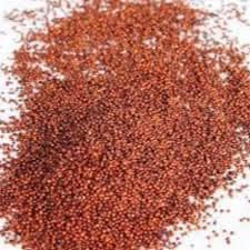 NACHNI BULK