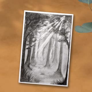 Pencil Shading on A4 Paper Diy Kit by Penkraft