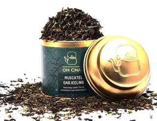 Oh Cha Muscatel Darjeeling Tea|Premium Single Estate 100% Whole Leaf Black Tea|Seductively Sweet Muscatel Flavor|Pure Unblended Darjeeling Long Leaf Tea| Caddy - Loose Leaves, 35 gm