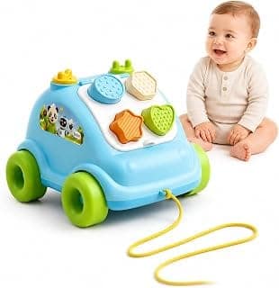 Pull Along Shape Sorting Car Toy for Toddlers 1+ Year|Educational Shape Sorter Vehicle with 4 Textured Shape Blocks & Storage Compartment|Montessori Learning Toy